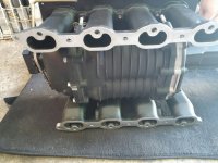 SC underside.jpg