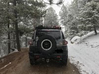 IMG_1937.jpg