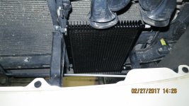 IMG_2294.jpg