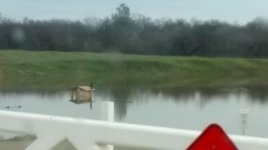 IMG_20170215_143405143.jpg