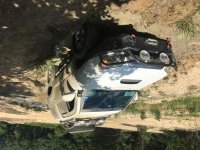 IMG_3894.jpg