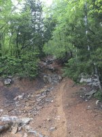 AAA-FirstRun-30.jpg AAA-FirstRun-30.jpg