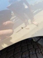 20170516_120854_resized.jpg