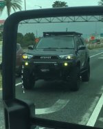 Spotted_FL.jpg