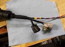 Plug with reverse.jpg