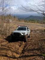 IMG_20170318_140315.jpg