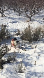 thumbnail_IMG_3507.jpg