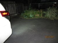 IMG_4829.JPG