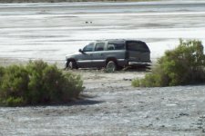 33302-been there since early January.jpg