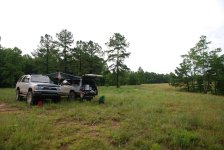 DSC_6009.jpg DSC_6009.jpg