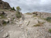 IMG_20170518_174748.jpg