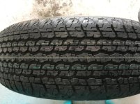 IMG_1138.jpg