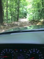 trail1.jpg