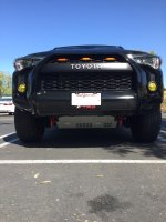 IMG_5304.jpg