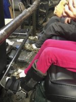 Roll-Cage-Rear-b-1.jpg