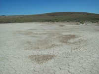 33602-looking north.jpg