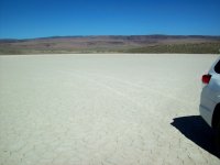 33606-only tracks.jpg