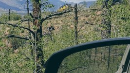 20170603_124729.jpg