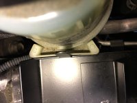 IMG_1484.jpg