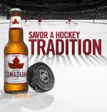Molson_dcc copy.jpg