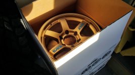 fake volks.jpg