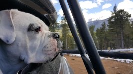 t42.jpg