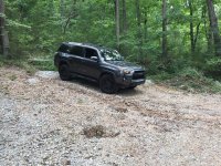 IMG_1250.jpg