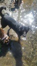 20170701_161406_resized.jpg
