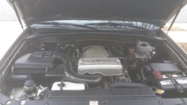 20170322_103538.jpg