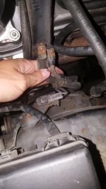 20170726_204205.jpg