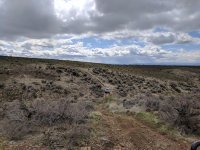 IMG_20170408_115946.jpg