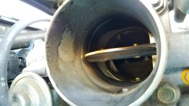 20170304_075148.jpg