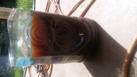 20170727_162926_Burst01.jpg