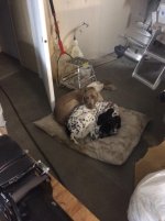 thumbnail_IMG_3759.jpg