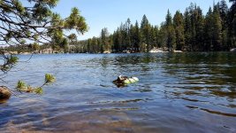 20170702_122049-1.jpg 20170702_122049-1.jpg