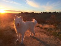 Foothills Dec. 2016.jpg