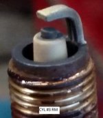 CYL 03 RM SPLUG.jpg