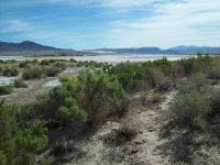 30003-Four Mile Flat and Sand Mountain.jpg