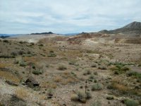 30036-NV Scheelite-Rawhide.jpg