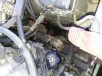 20170430_104558.jpg