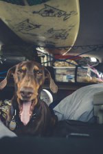 3-25-2017 Trip-19.jpg