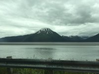 IMG_7889.jpg
