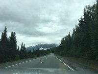 IMG_7892.jpg