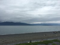 IMG_7900.jpg