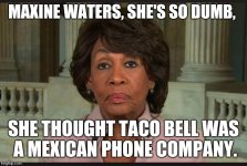 maxine.jpg