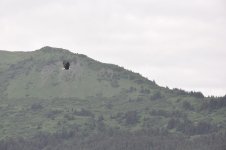 DSC_0434.jpg
