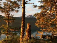 IMG_7976.jpg