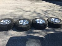 IMG_1312.jpg