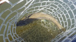 20170523_125008.jpg