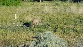 20170523_183105_001.jpg